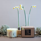 Hand-made Soy Wax Candle with Light Vanilla Scent