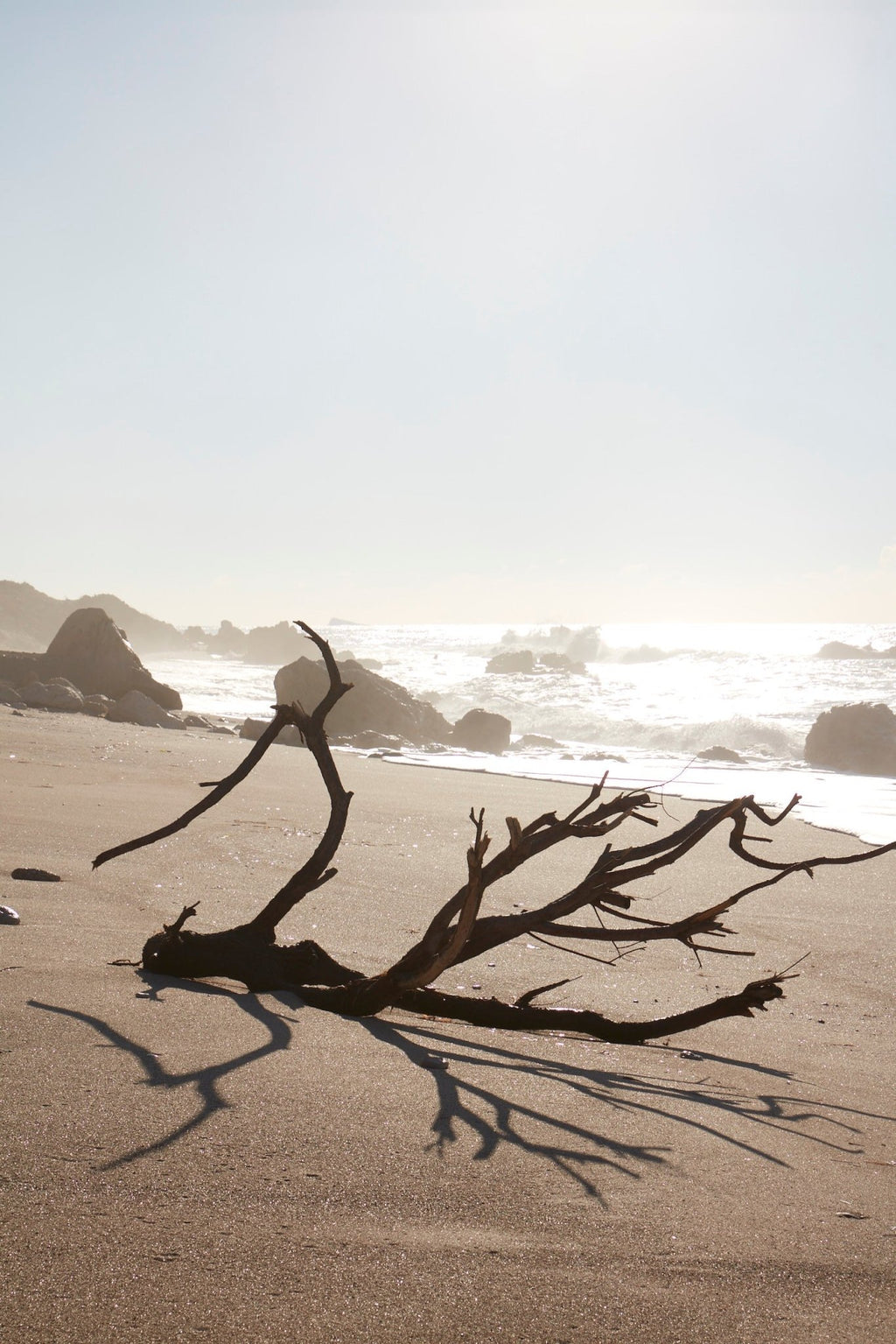 PARFUM OIL EARTH n/a